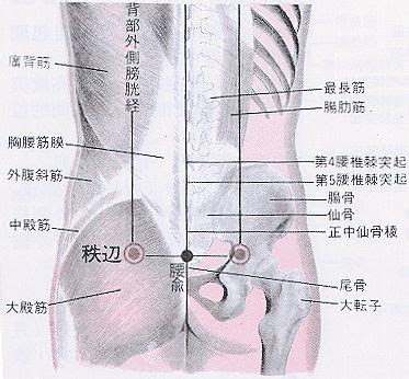 虎口位置|醫砭 » 經穴庫 » 虎口